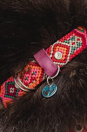 טולום HM | צווארונים מקסיקניים בעבודת יד לכלבים קטנים, בינוניים וגדולים. עמידות רחיצה ועמידות גבוהה לשימוש יומיומי.